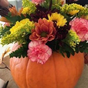 Meet your Posher, Jill